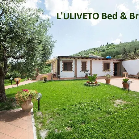L'uliveto *