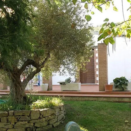 Bed & Breakfast L'uliveto *