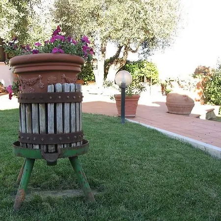 فندق مبيت وإفطار L'uliveto Fontignano