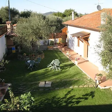 L'uliveto * Fontignano